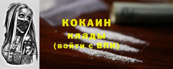 трава Арсеньев