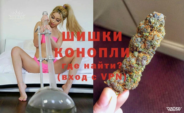 трава Арсеньев