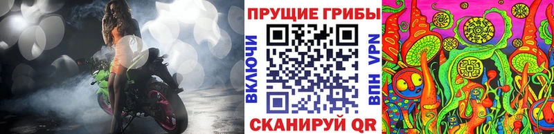 МЕГА онион  Нягань  Псилоцибиновые грибы Psilocybine cubensis 